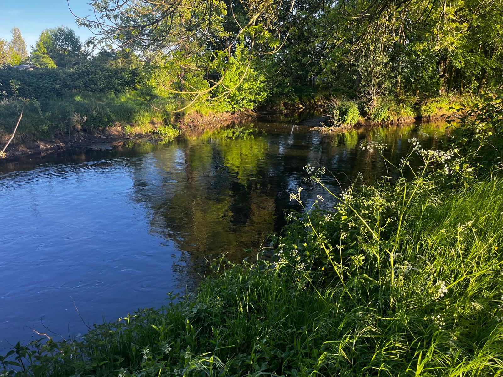 Die Niers ein Fluss in Geldern teil sich in zwei