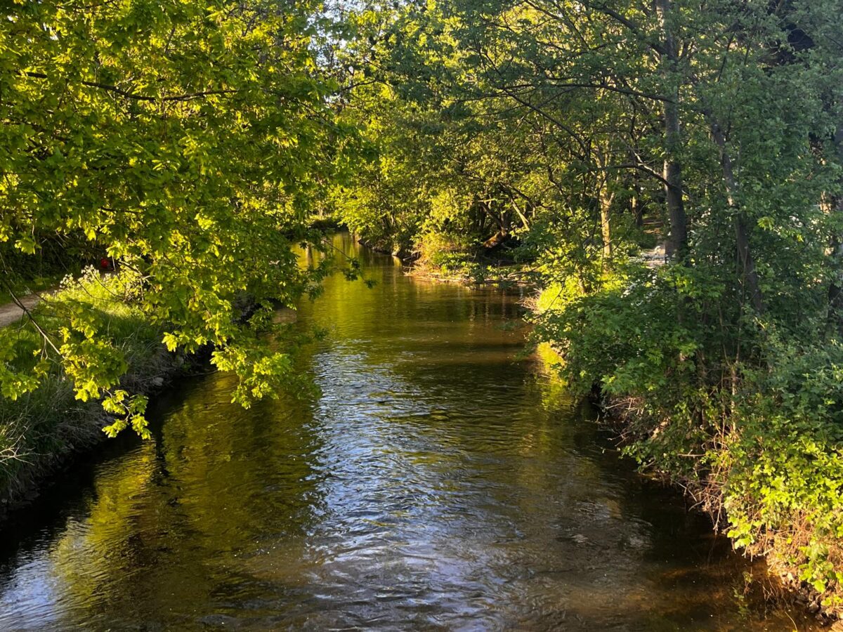 Der Fluss Niers in Geldern umgeben von Bäumen