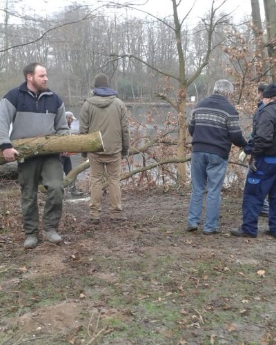 Mitglieder des ASV Geldern 1950 beim Arbeitseinsatz im Wald