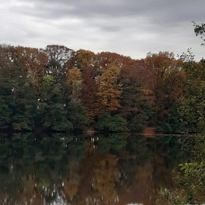 Der Heitkampsee in Geldern im Herbst mit bunten Blättern an den Bäumen die sich im Wasser spiegeln.