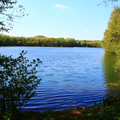 Der Heitkampsee aus dem Blickwinkel vom Ufer